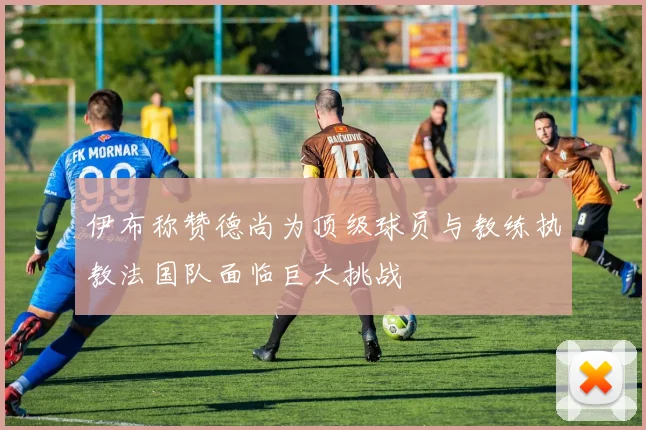 伊布称赞德尚为顶级球员与教练执教法国队面临巨大挑战